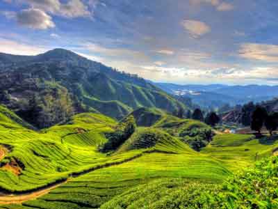 Kuala Lumpur and Cameroon Highlands