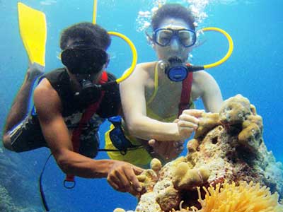 Andaman and Nicobar Honeymoon