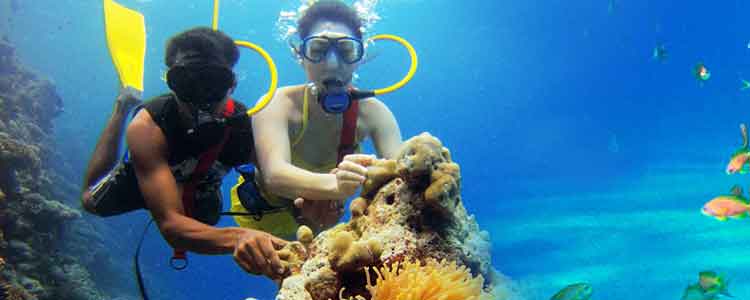 andaman honeymoon Trip