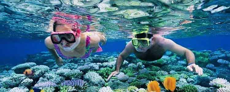 andaman honeymoon tours