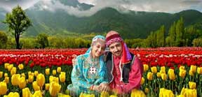 Beauty of Kashmir Honeymoon Tour