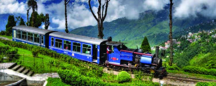 darjeeling Tour