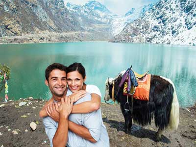 Honeymoon Paradise in Darjeeling