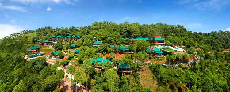 kasauli tour packages