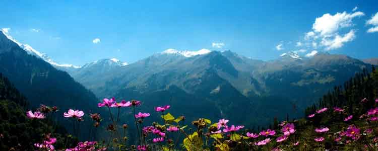 kullu manali