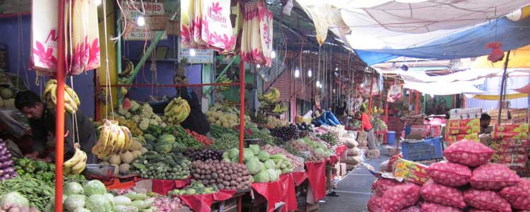 leh local markets