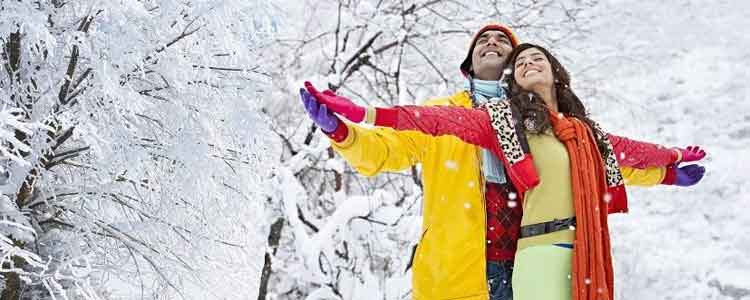 manali honeymoon trip