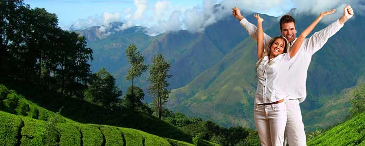 munnar honeymoon