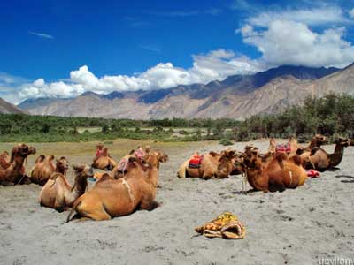 All Shades of Leh Ladakh