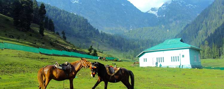 pahalgam tour