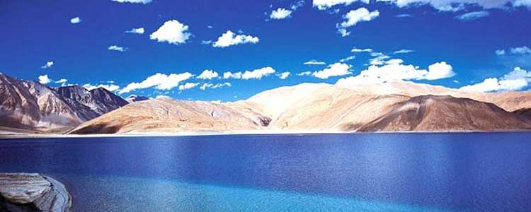 pangong tours