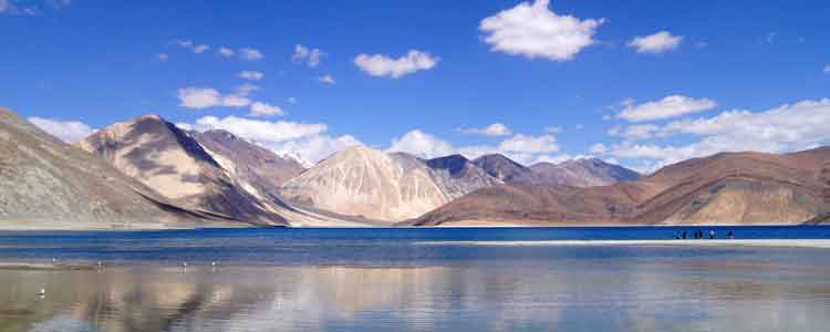 Pangong Tour