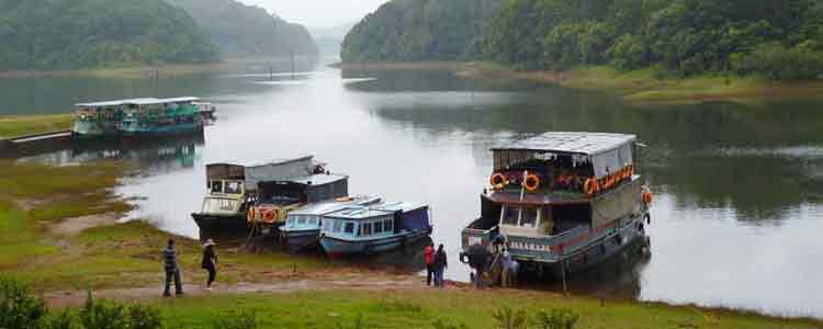 periyar Tour