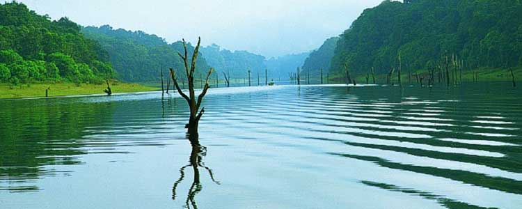 periyar Tour