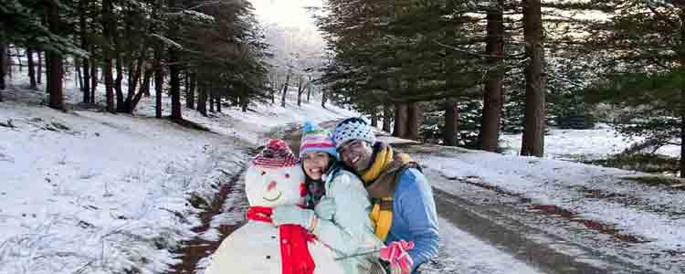 shimla honeymoon tours