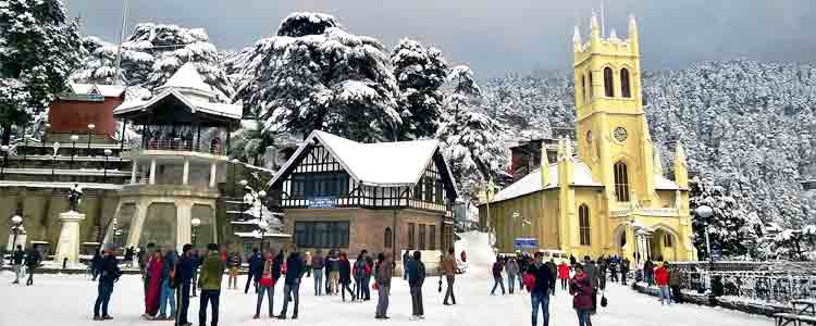 shimla honeymoon trip