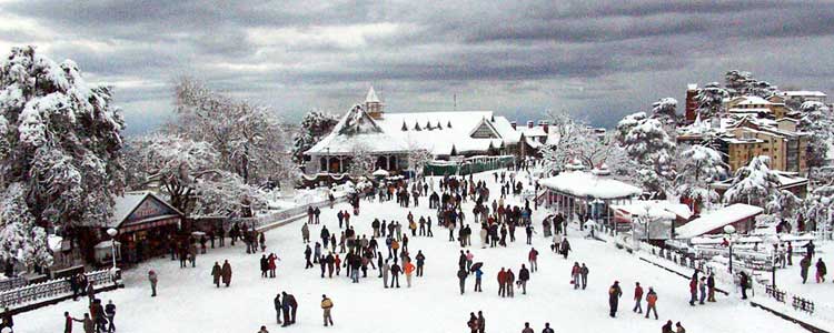 shimla Tour