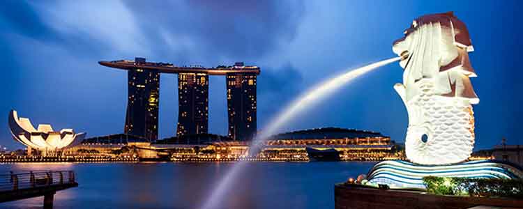 singapore tour