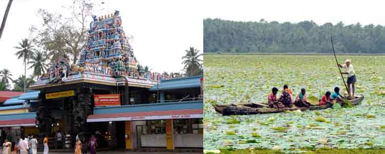 vellayani lake